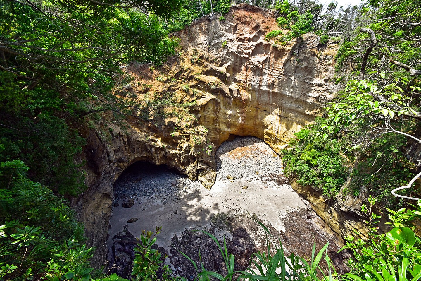 ⛩️ 조용한 신사(시즈카 진자) 이미지 8